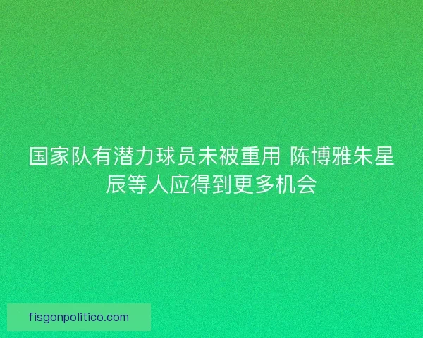国家队有潜力球员未被重用 陈博雅朱星辰等人应得到更多机会