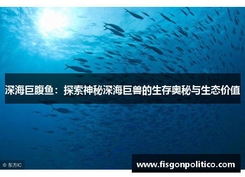 深海巨腹鱼：探索神秘深海巨兽的生存奥秘与生态价值